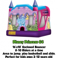 Disney Princess Bouncer