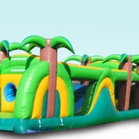 Tropical Obstacle Course Dimensions 38 × 9.5 × 10 ft